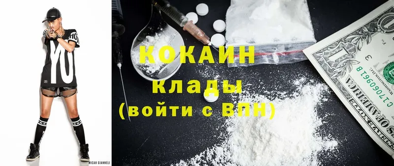 Cocaine FishScale  гидра как войти  Каменногорск 